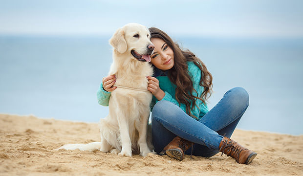 cbd for your pet at evolve cannabis store mt horeb wi