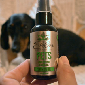 evolve cbd pet spray