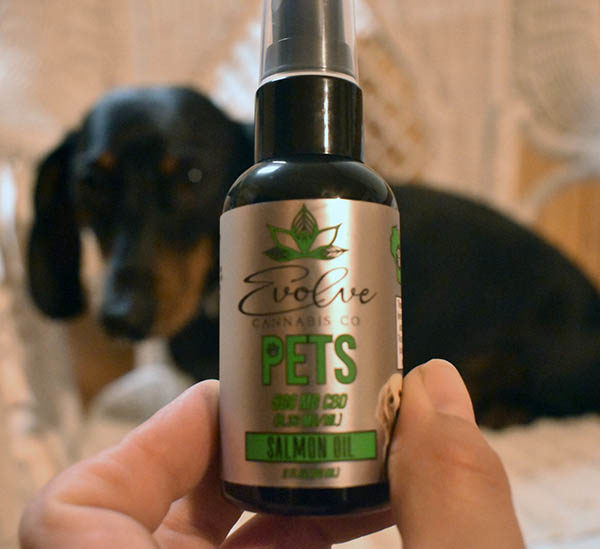 evolve cbd pet spray