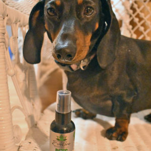 evolve cbd pet spray