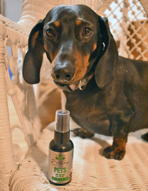 evolve cbd pet spray