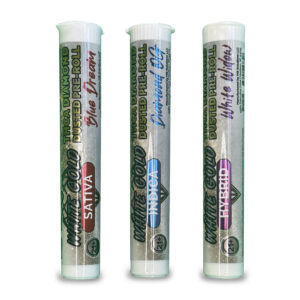 24Kannabis THCA Flower King Size Pre-Rolls